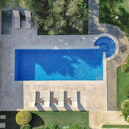 Villa Zen Port Petrovac Ngoại thất bức ảnh